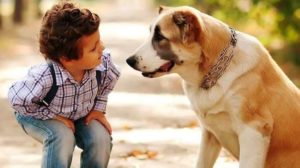 6 Facts a Pet Owner Should Care About