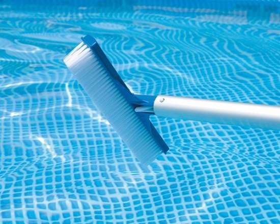 Why And When should you brush your pool