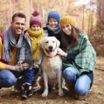 How Do Pet Insurance Know About Pre-existing Conditions