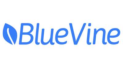 BlueVine - Guaranteed Startup Business Loans No Credit Check